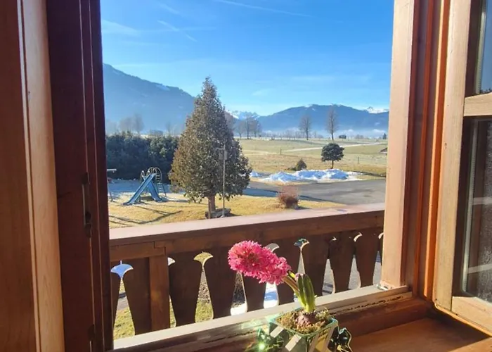 Theurerhof Apartment Saalfelden